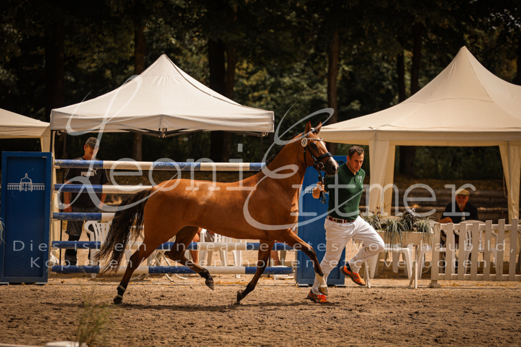 11.So00023 | Leoni Ertmer Photography - Realisiert mit Pictrs.com