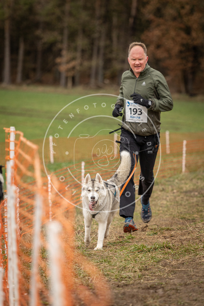 DV3A2731 | Hundefotografie, Tierfotograf, Pfotenfotografie, Fotoshooting Hund, Hunde Portrait, Hundesport, Hundeportraits, Heideshooting, Hunde, Sportfotograf, Hundefotograf, Turnierhundsport, THS,  - Realisiert mit Pictrs.com