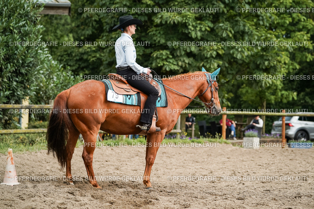 DSC03820 | Pferdegrafie