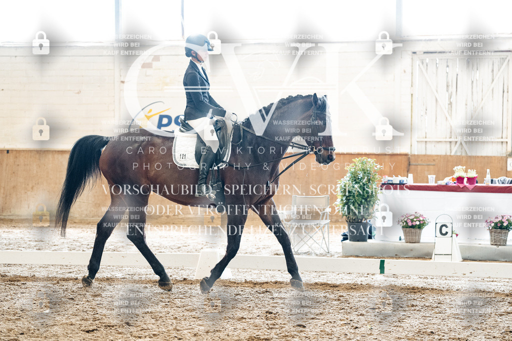 CK900002 | Turnierfotografie Pferdefotografie Trier Rheinland-Pfalz Pferdesport Reitsport Tierfotografie Sportfotografie Pferdevideo Pferdevideografie Equestrianvideography equestrianphotography  - Realisiert mit Pictrs.com