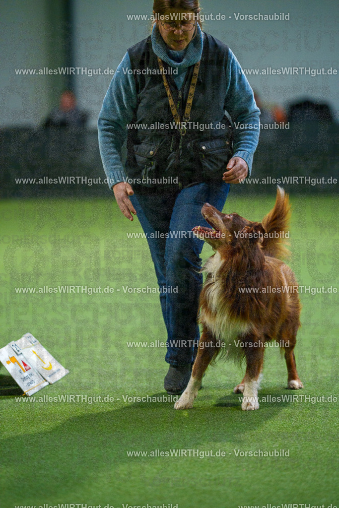 7R500910 | Professionelle Tierfotografie in Mönchengladbach von Daniel Wirth (allesWIRTHgut). Liebevolle & natürliche Bilder von Hunden & Katzen für unvergessliche Erinnerungen.