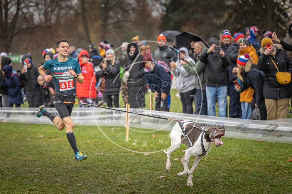 CaniXpix_DV3A9600 | Hundefotografie, Tierfotograf, Pfotenfotografie, Fotoshooting Hund, Hunde Portrait, Hundesport, Hundeportraits, Heideshooting, Hunde, Sportfotograf, Hundefotograf, Turnierhundsport, THS,  - Realisiert mit Pictrs.com