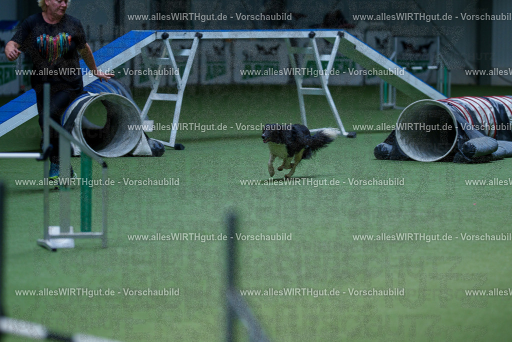@allesWIRTHgut_Tierfotografie - www.allesWIRTHgut.de - 2604251231-7R502028 | Professionelle Tierfotografie in Mönchengladbach von Daniel Wirth (allesWIRTHgut). Liebevolle & natürliche Bilder von Hunden & Katzen für unvergessliche Erinnerungen.