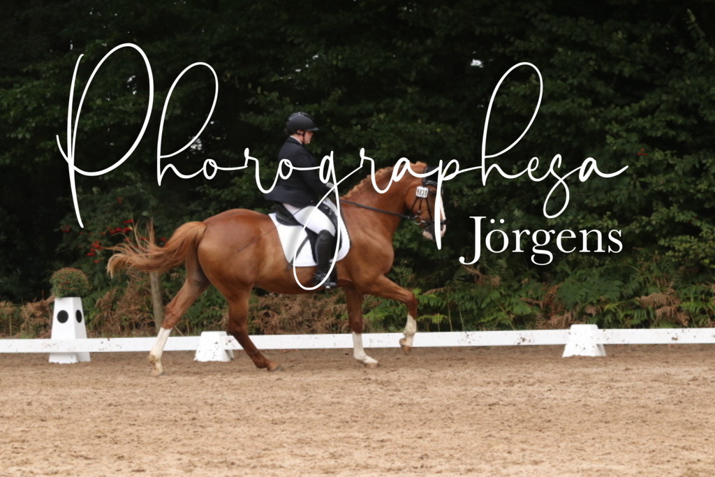 IMG_9633 | photographesa-joergens - Realisiert mit Pictrs.com