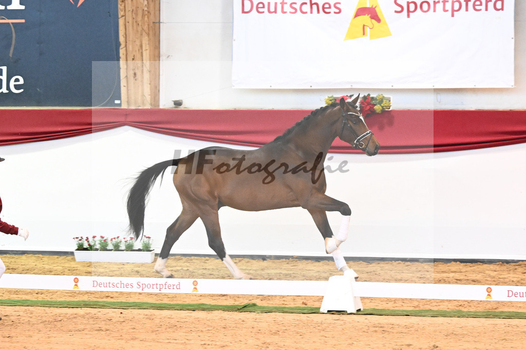 Kat-Nr. 14 Christ x Quattro B_Goeth_43231712 | hf-fotografie - Realisiert mit Pictrs.com