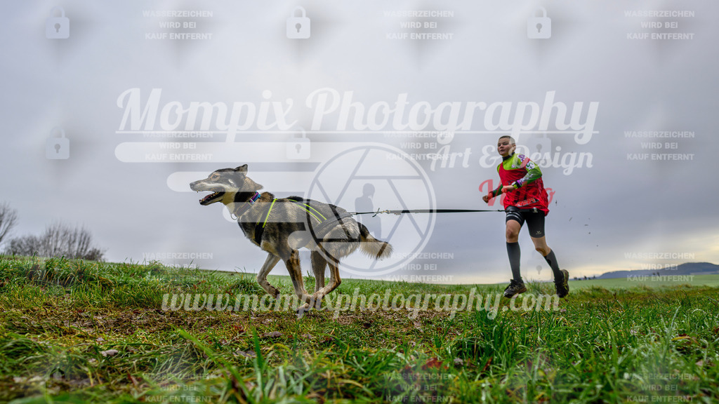 MompixPhotography_Staufertrail2024_SO_Canicross-22 | PayLife