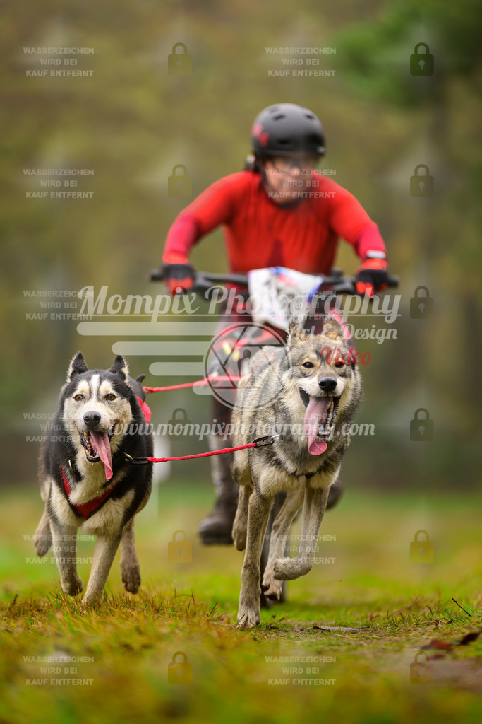 MompixPhotography_Bischwiller2025_Bike-139 | mompixphotography