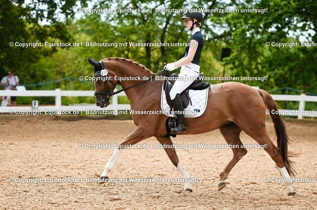 20230715_07_Dressurpferdeprfg. Kl.L_0088 | equistock