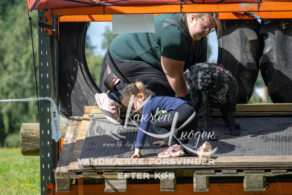 1556_ZZ90033 | kk-dogfotos