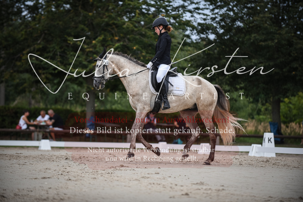 DSC_8218 | Pferde- und Turnierfotografie in Westsachsen. Pferdeportraits, Auftragszeichnungen und intuitive Kunst.