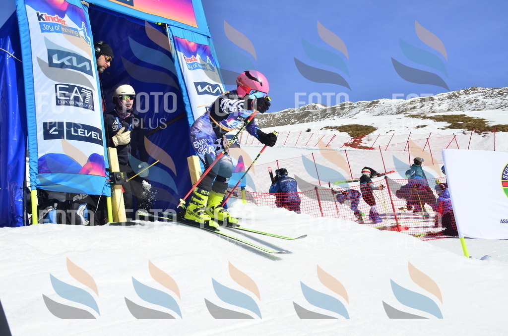 _ELE9954 | holidayphoto