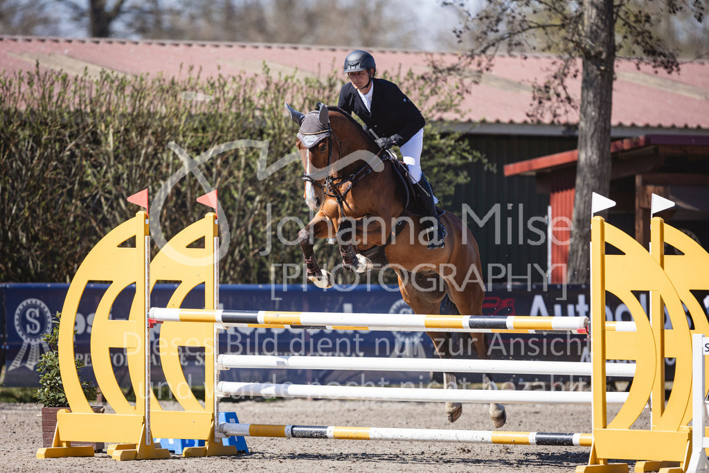 250408_Mühlen_SprPf-L-326 | Deine schönsten Turniermomente als professionelle Fotos! Entdecke hochwertige Pferdesport-Fotografie im Online-Shop. Jetzt Fotos finden & bestellen!