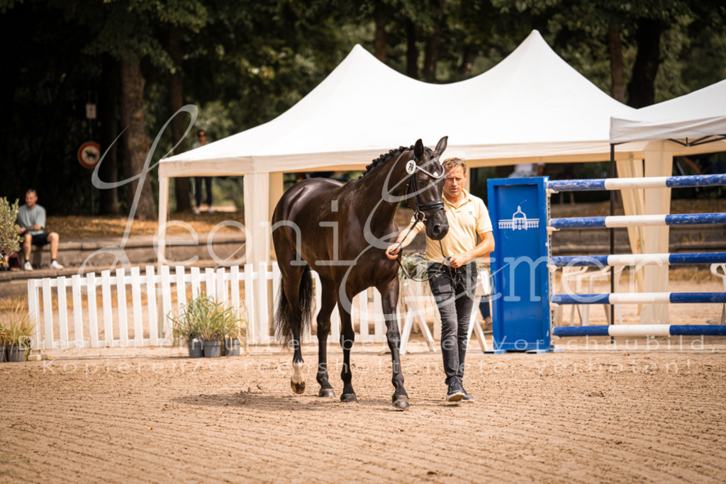 4.Fr00198 | Leoni Ertmer Photography - Realisiert mit Pictrs.com