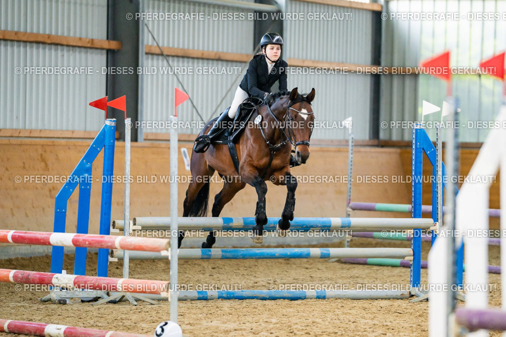 DSC00621 | Pferdegrafie