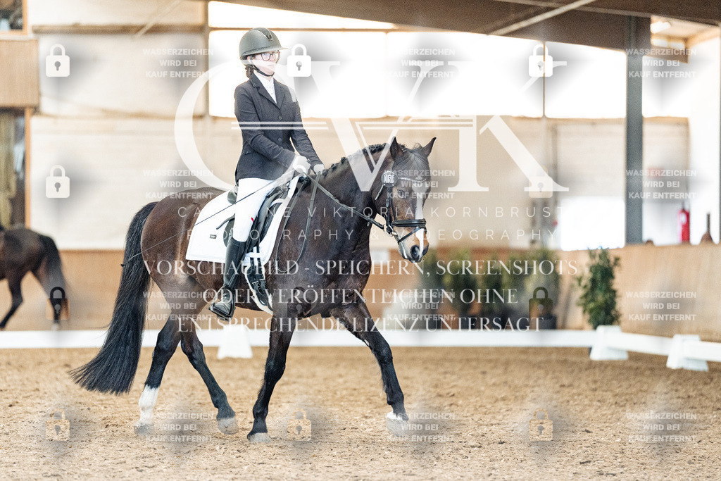 CK909769 | Turnierfotografie Pferdefotografie Trier Rheinland-Pfalz Pferdesport Reitsport Tierfotografie Sportfotografie Pferdevideo Pferdevideografie Equestrianvideography equestrianphotography  - Realisiert mit Pictrs.com