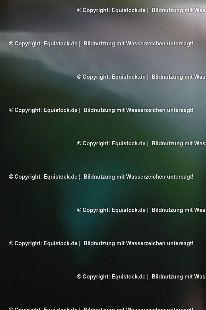 20250517_CCI2_Gelände_0041 | Foto: Thomas Hartig