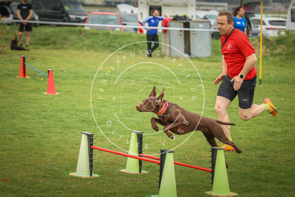 Pfotenfotografie_0L8A1142 | Hundefotografie, Tierfotograf, Pfotenfotografie, Fotoshooting Hund, Hunde Portrait, Hundesport, Hundeportraits, Heideshooting, Hunde, Sportfotograf, Hundefotograf, Turnierhundsport, THS,  - Realisiert mit Pictrs.com