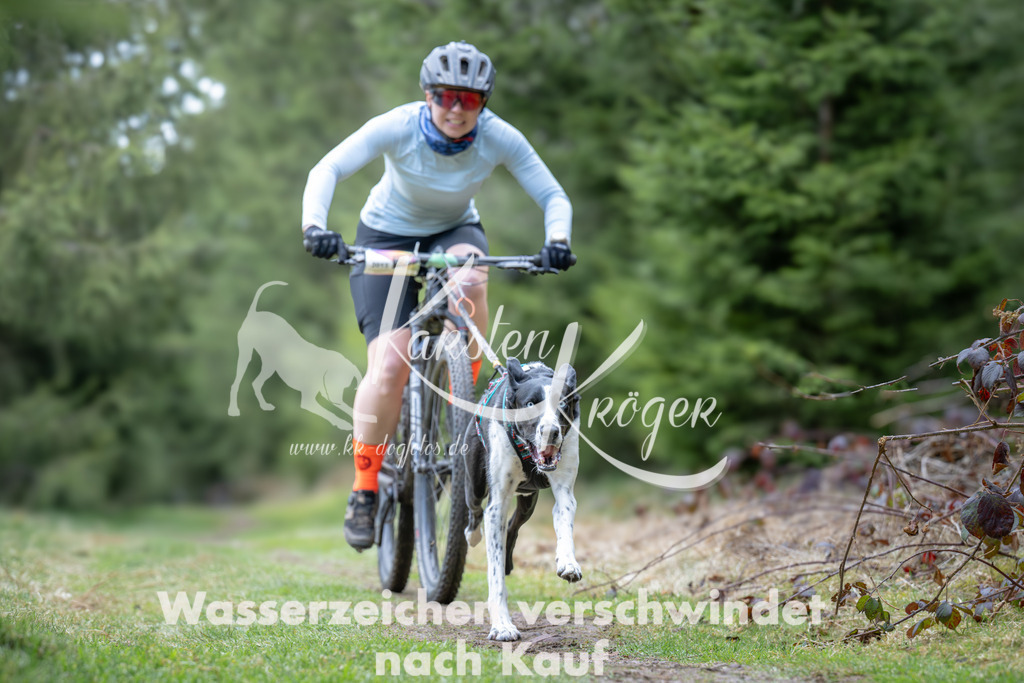 1309_ZZ93694 | kk-dogfotos