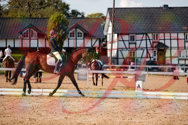 2026_10_03_Siefer-Hof_130459_Z63_68109010 | Professionelle Reitsport-, Turnier- und Eventfotografie von Robert Broda. Galerien mit ausgewählten und bearbeiteten Bildern direkt online ansehen und bestellen.
