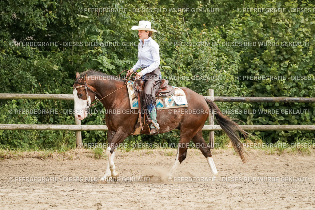 DSC09133 | Pferdegrafie