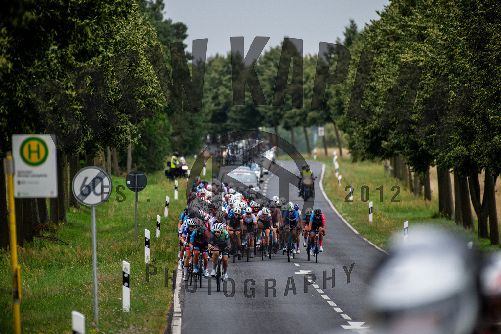 _DKP8285 | Drew Kaplan Photography