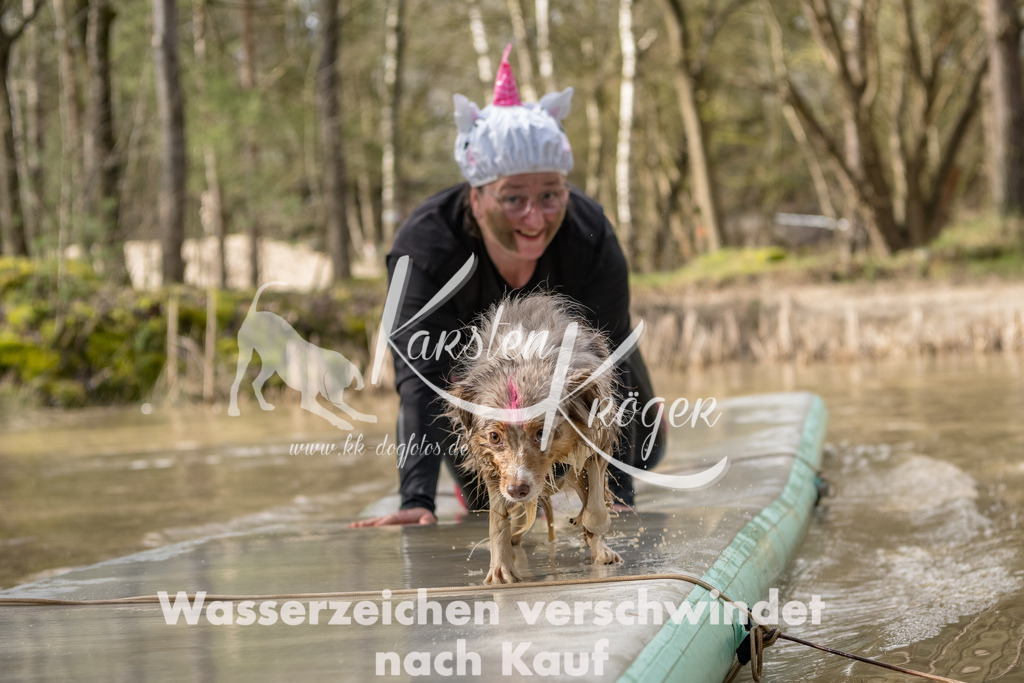1008_ZZ92707-Bearbeitet-2 | kk-dogfotos