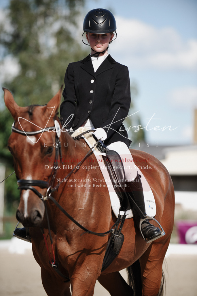 DSC_9980 | Pferde- und Turnierfotografie in Westsachsen. Pferdeportraits, Auftragszeichnungen und intuitive Kunst.
