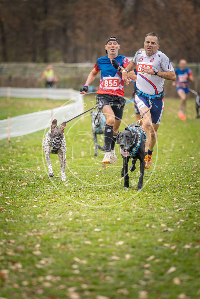 CaniXpix_DV3A6620 | Hundefotografie, Tierfotograf, Pfotenfotografie, Fotoshooting Hund, Hunde Portrait, Hundesport, Hundeportraits, Heideshooting, Hunde, Sportfotograf, Hundefotograf, Turnierhundsport, THS,  - Realisiert mit Pictrs.com