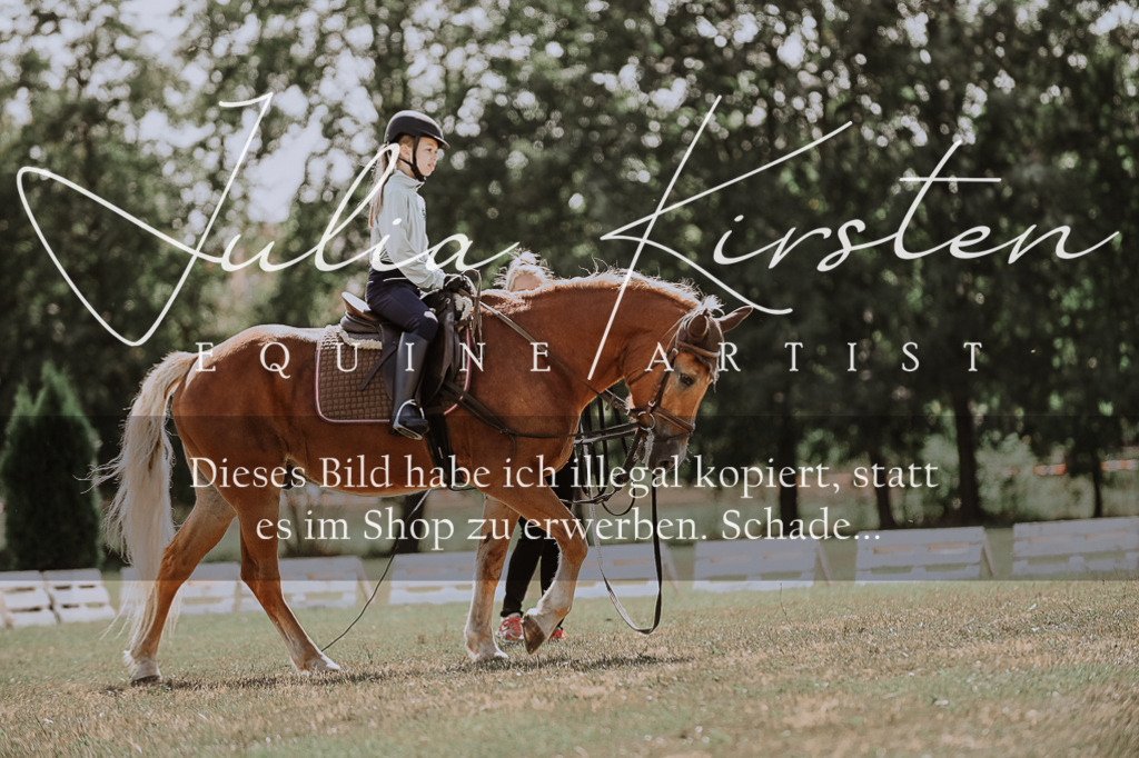 DSC_7564 | Pferde- und Turnierfotografie in Westsachsen. Pferdeportraits, Auftragszeichnungen und intuitive Kunst.