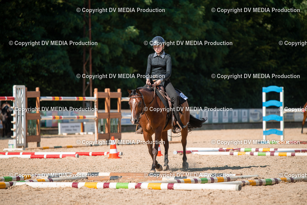 EWP_6962 | dv-media-shop - Realisiert mit Pictrs.com