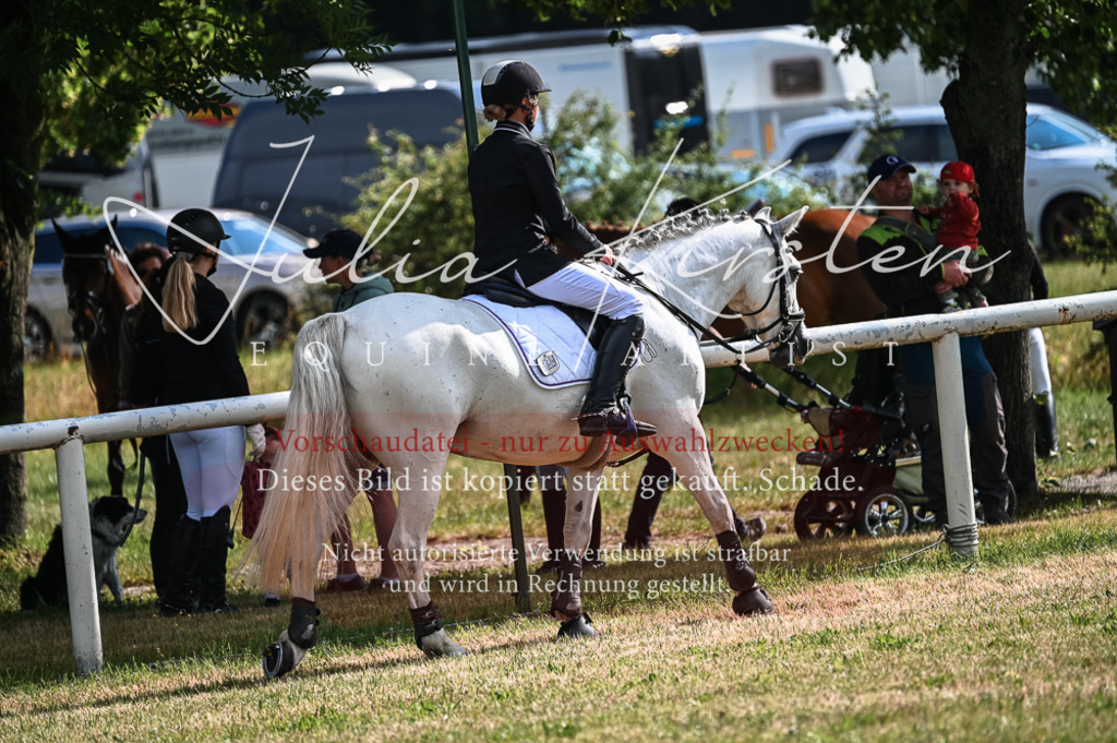 DSC_7740 | Pferde- und Turnierfotografie in Westsachsen. Pferdeportraits, Auftragszeichnungen und intuitive Kunst.