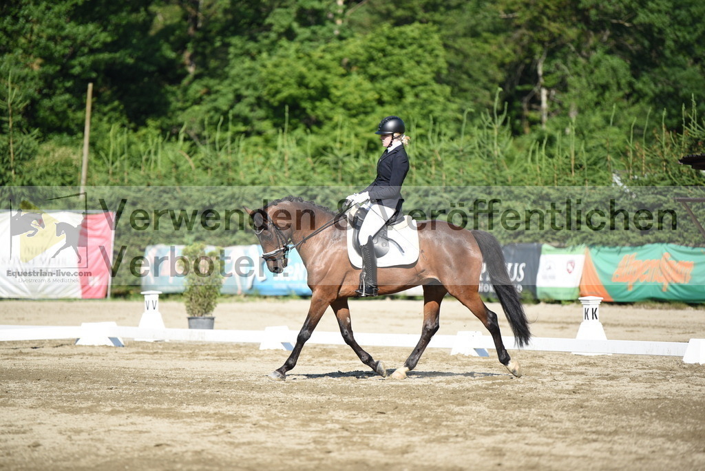 DSC_7134 | equestrian-live-com