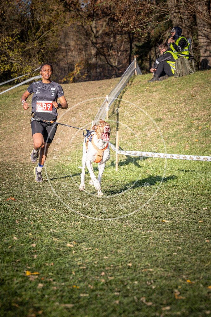 CaniXpix_0L8A9319 | Hundefotografie, Tierfotograf, Pfotenfotografie, Fotoshooting Hund, Hunde Portrait, Hundesport, Hundeportraits, Heideshooting, Hunde, Sportfotograf, Hundefotograf, Turnierhundsport, THS,  - Realisiert mit Pictrs.com