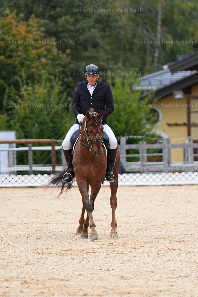 3-239-Dressur M_-Marixx-1922 | working equitationturnier fotograf videograf stoibphotography marixx film working equitation deutschland reitsport turnierfotografie eventfotografie equestrian events