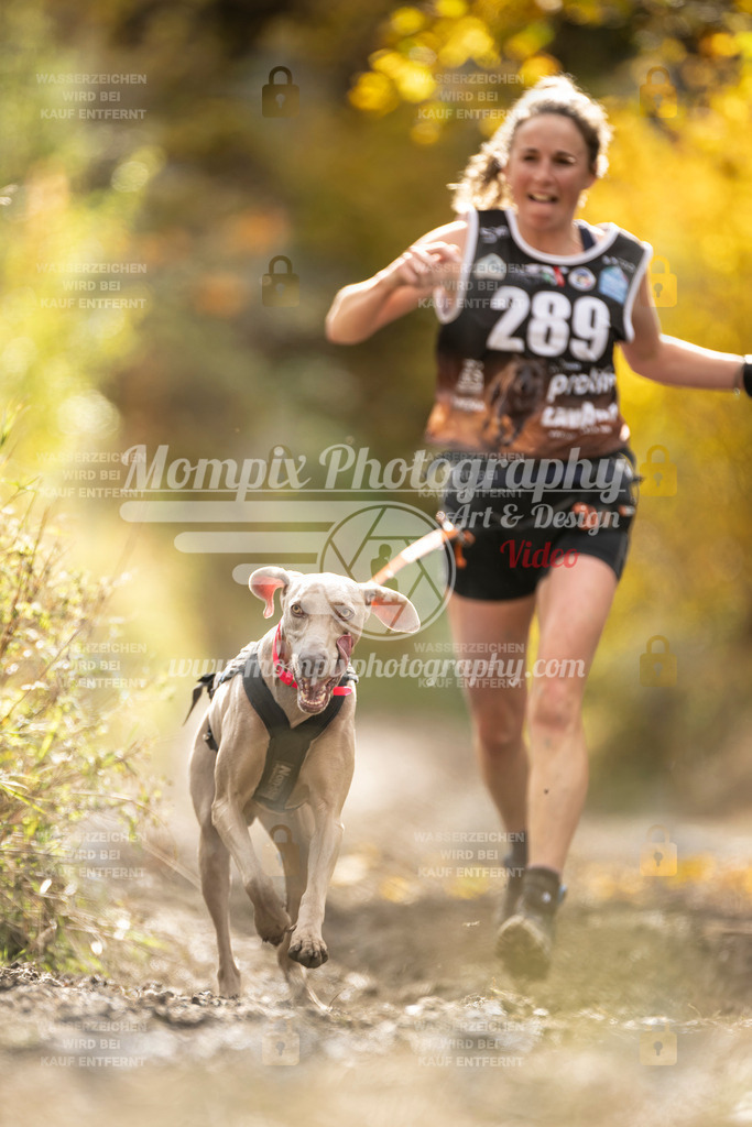 MompixPhotography_ICF_WC_2024_SA_Run_-145 | PayLife