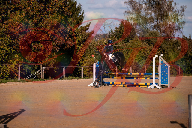 2026_10_03_Siefer-Hof_171546_Z81_13308954 | Professionelle Reitsport-, Turnier- und Eventfotografie von Robert Broda. Galerien mit ausgewählten und bearbeiteten Bildern direkt online ansehen und bestellen.