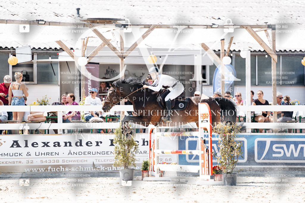 CK909945 | Turnierfotografie Pferdefotografie Trier Rheinland-Pfalz Pferdesport Reitsport Tierfotografie Sportfotografie Pferdevideo Pferdevideografie Equestrianvideography equestrianphotography  - Realisiert mit Pictrs.com