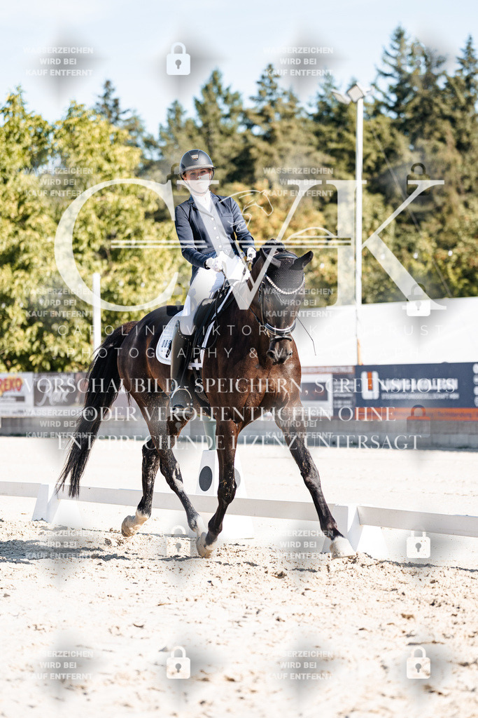 CK907903 | Turnierfotografie Pferdefotografie Trier Rheinland-Pfalz Pferdesport Reitsport Tierfotografie Sportfotografie Pferdevideo Pferdevideografie Equestrianvideography equestrianphotography  - Realisiert mit Pictrs.com