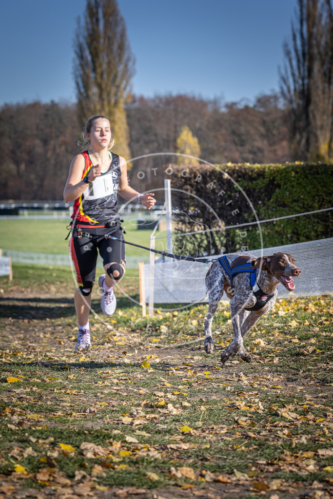 CaniXpix_DV3A9229 | Hundefotografie, Tierfotograf, Pfotenfotografie, Fotoshooting Hund, Hunde Portrait, Hundesport, Hundeportraits, Heideshooting, Hunde, Sportfotograf, Hundefotograf, Turnierhundsport, THS,  - Realisiert mit Pictrs.com