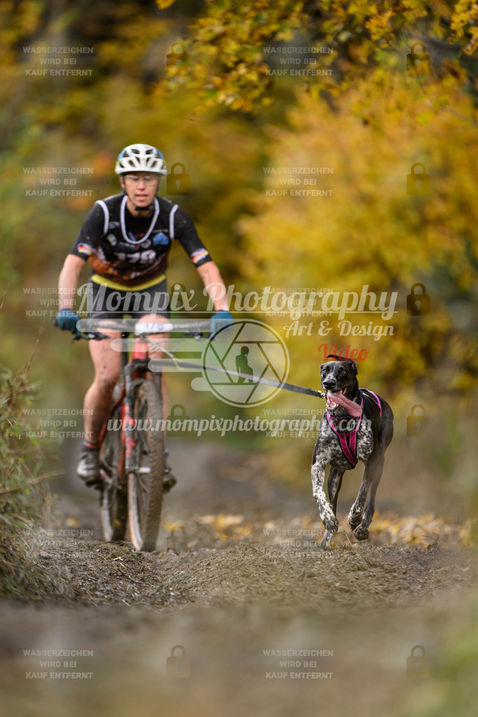 MompixPhotography_ICF_WC_2024_SA_Bike_-253 | PayLife