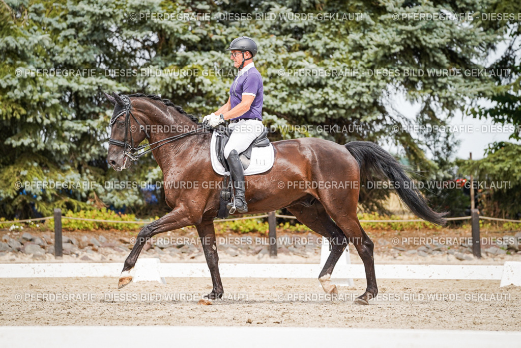 DSC06274 | Pferdegrafie