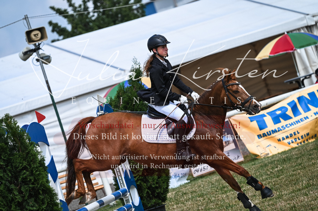 DSC_8572 | Pferde- und Turnierfotografie in Westsachsen. Pferdeportraits, Auftragszeichnungen und intuitive Kunst.