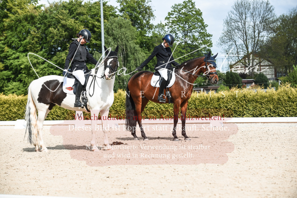 20230518_JK-Röhrsdorf-12-0188 | Pferde- und Turnierfotografie in Westsachsen. Pferdeportraits, Auftragszeichnungen und intuitive Kunst.