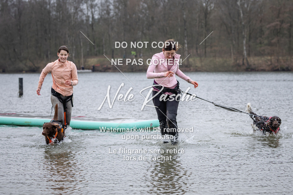nelerasche_Hulsbeek_Sa1600-1700_182 | nelerasche