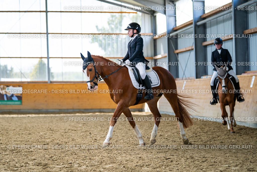 DSC05420 | Pferdegrafie