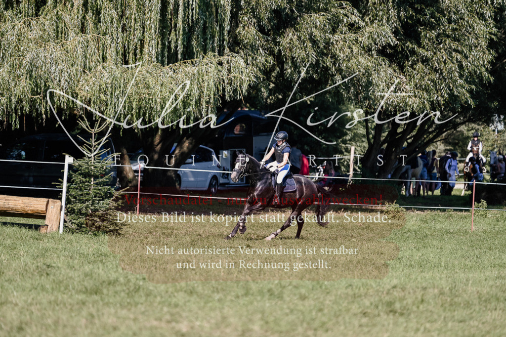DSC_3565 | Pferde- und Turnierfotografie in Westsachsen. Pferdeportraits, Auftragszeichnungen und intuitive Kunst.
