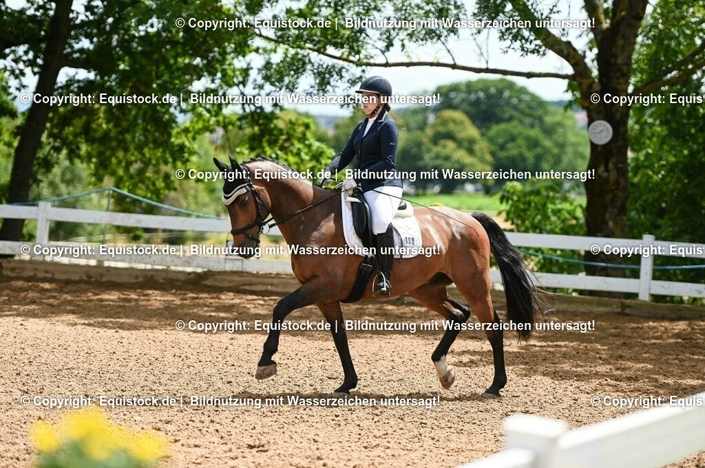20230716_03_Dressurprfg. Kl.L - Tr._0665 | equistock