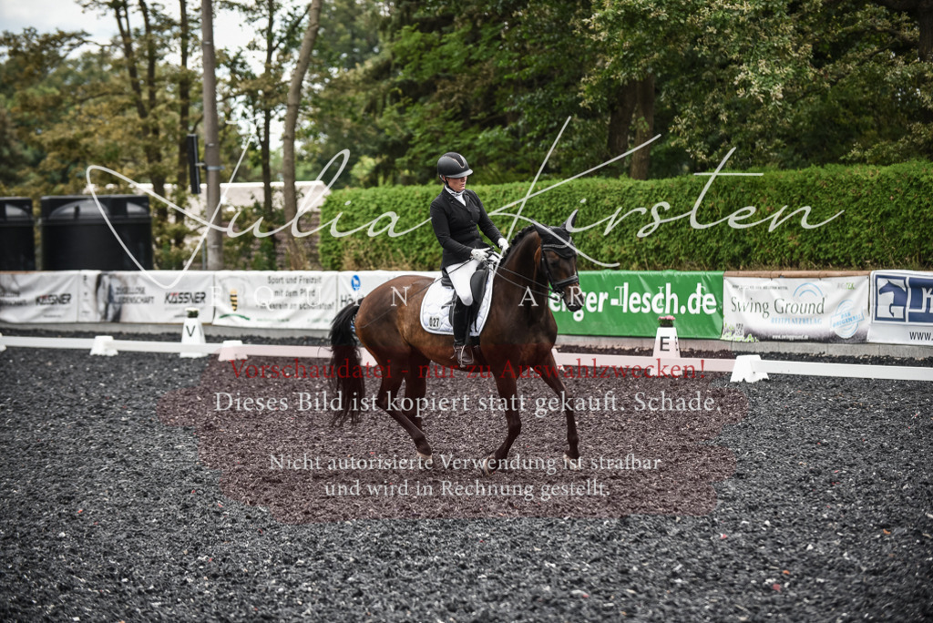 DSC_4897 | Pferde- und Turnierfotografie in Westsachsen. Pferdeportraits, Auftragszeichnungen und intuitive Kunst.