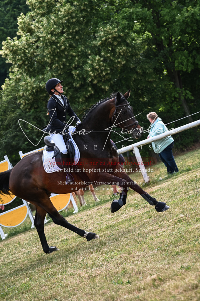 DSC_8313 | Pferde- und Turnierfotografie in Westsachsen. Pferdeportraits, Auftragszeichnungen und intuitive Kunst.