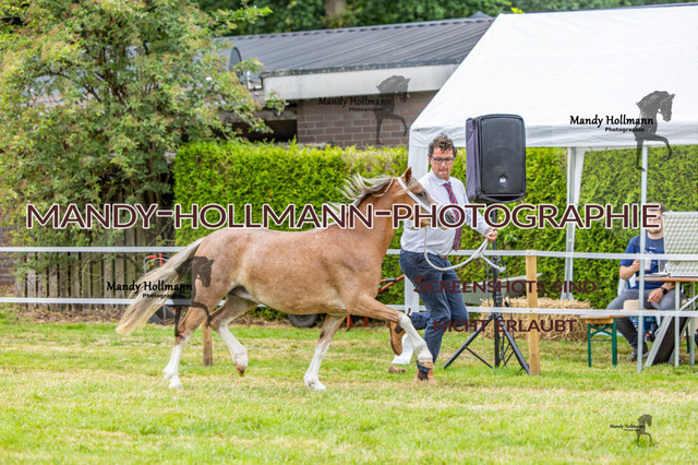 3_MG_3636 (882) | mandyhollmannphotographie